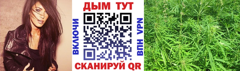 Марихуана планчик  маркетплейс какой сайт  Нижняя Тура 